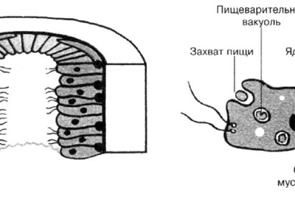 Кракен рабочий сайт