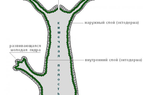 Правила модераторов кракен площадка